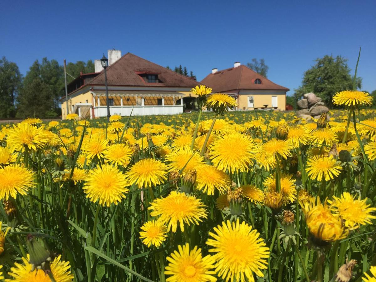 Ruunawere Hotel Nõmmealuse Zewnętrze zdjęcie