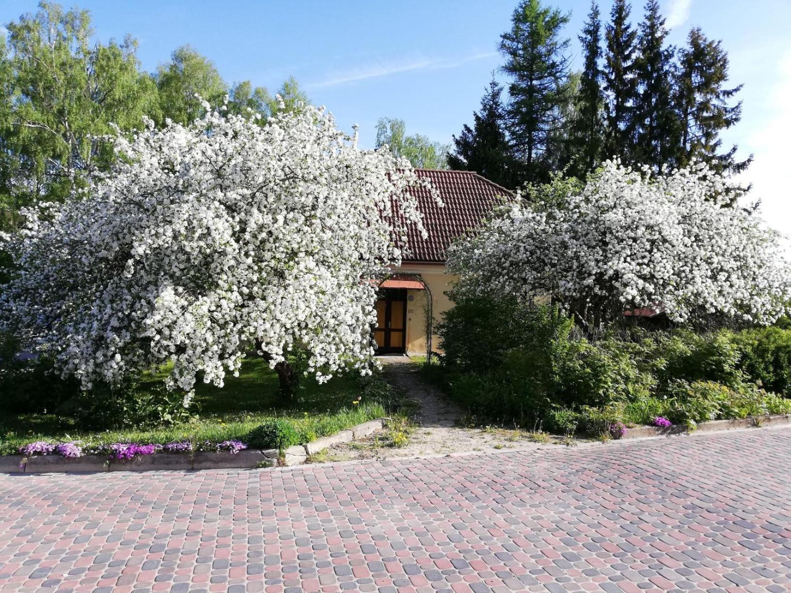 Ruunawere Hotel Nõmmealuse Zewnętrze zdjęcie