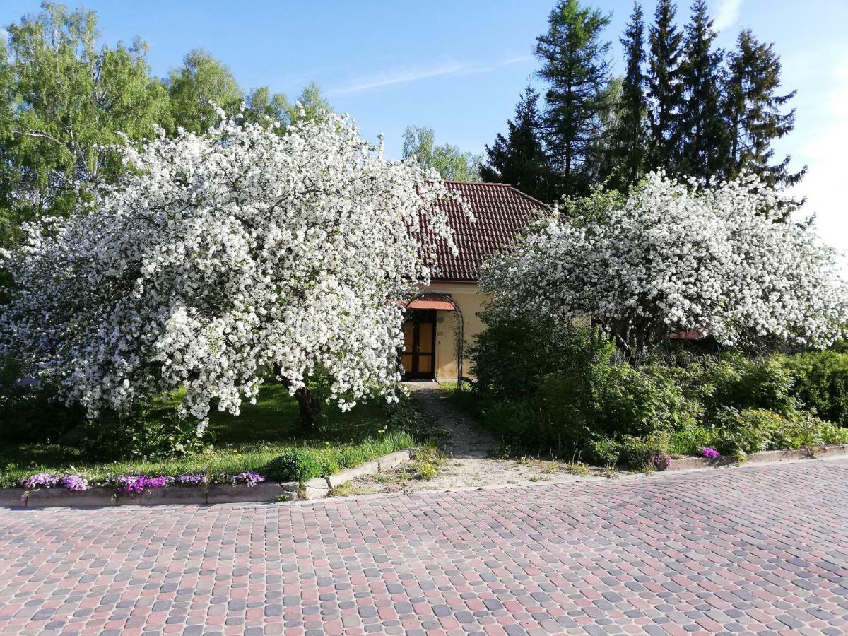 Ruunawere Hotel Nõmmealuse Zewnętrze zdjęcie
